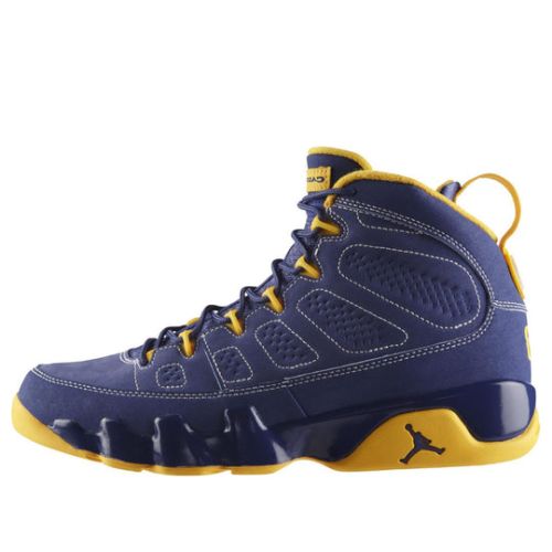 Air Jordan 9 Retro ??Calvin Bailey?? 302370-445